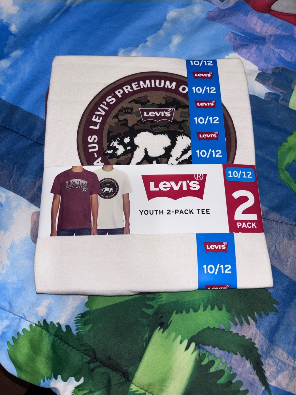 Levi's Youth 2-Pack Tees in White and Maroon